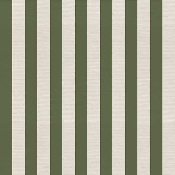 STRIPS 3,5CM OLIVE